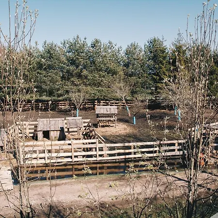 Atputas Vieta Buki